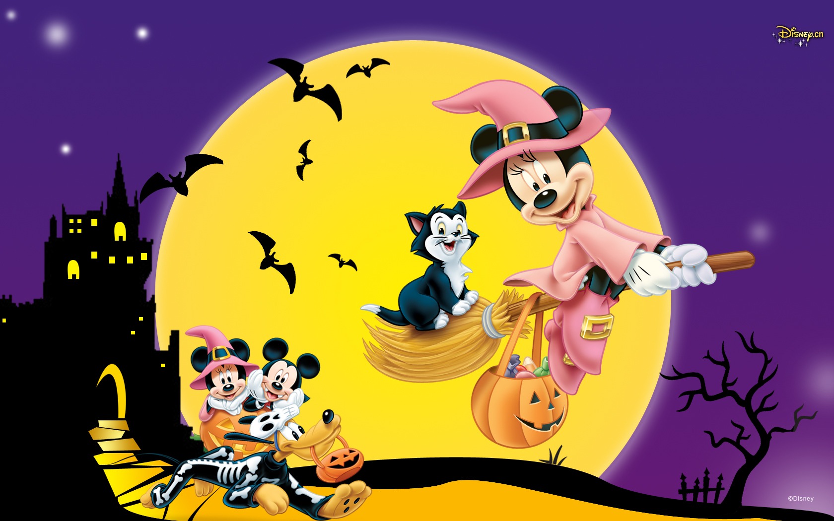 Disney, Cartoon And Mickey Mouse Halloween Costume On Pinterest