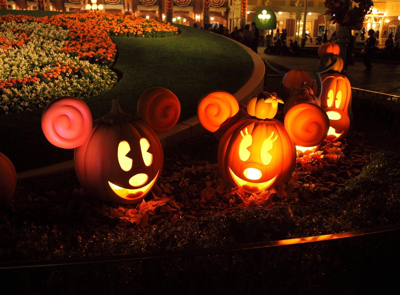 Wallpaper Halloween, Pumpkins, Models, Mickey Mouse, Flowerbed