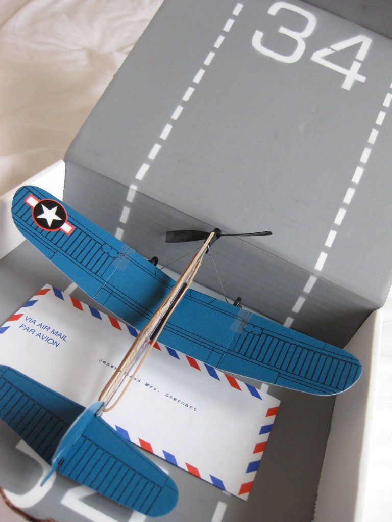 Template Sample  Glamorous Aeroplane Party Invitations Inspiration