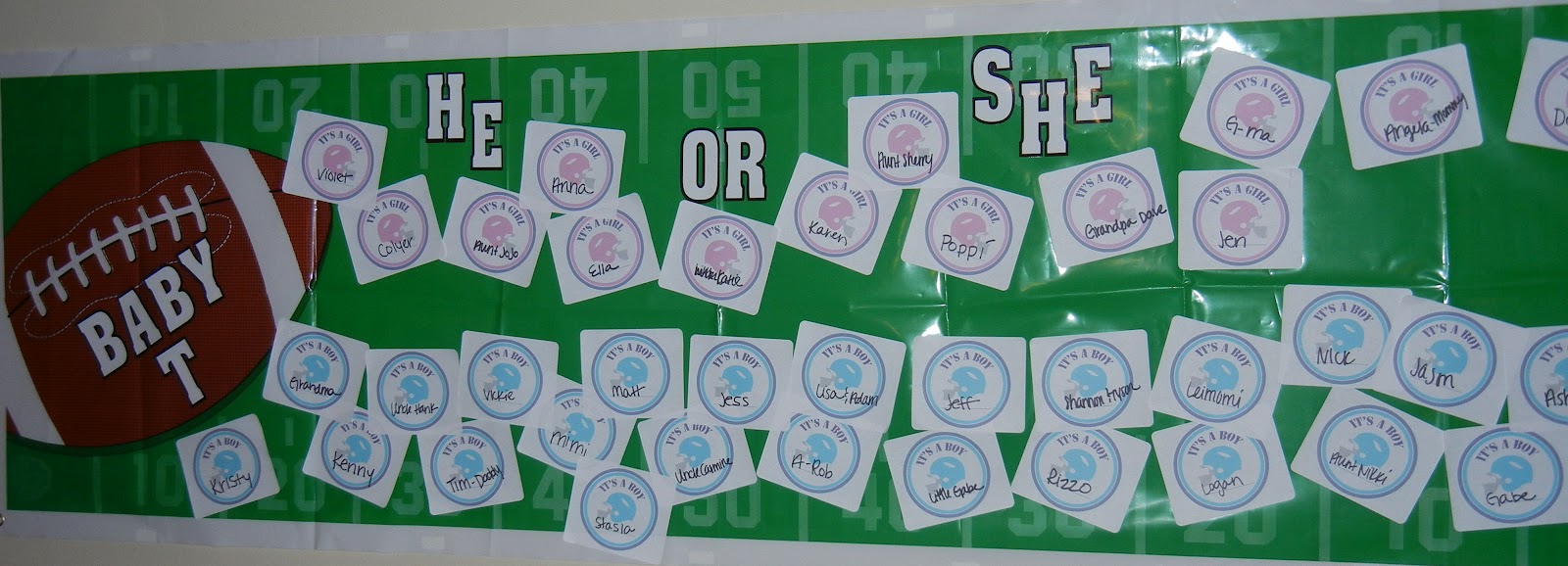 The Trokey Tales  Gender Reveal Party  It's A Girl!