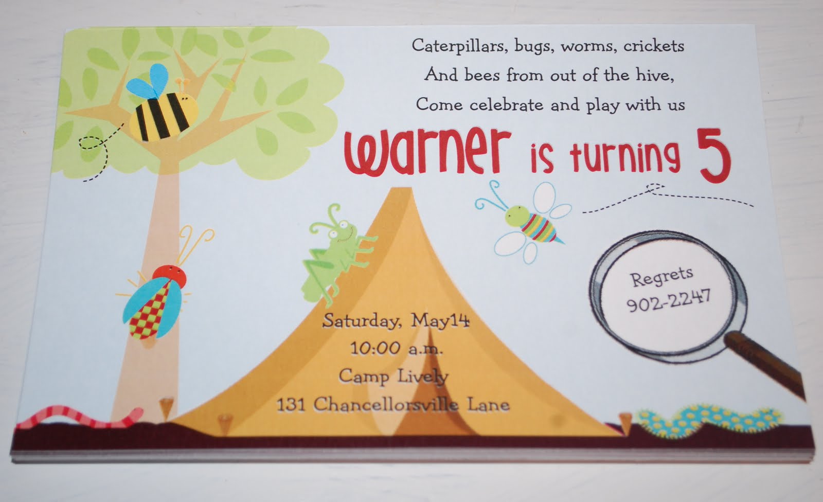 Baby Face Design  Bug Birthday Party Invitation