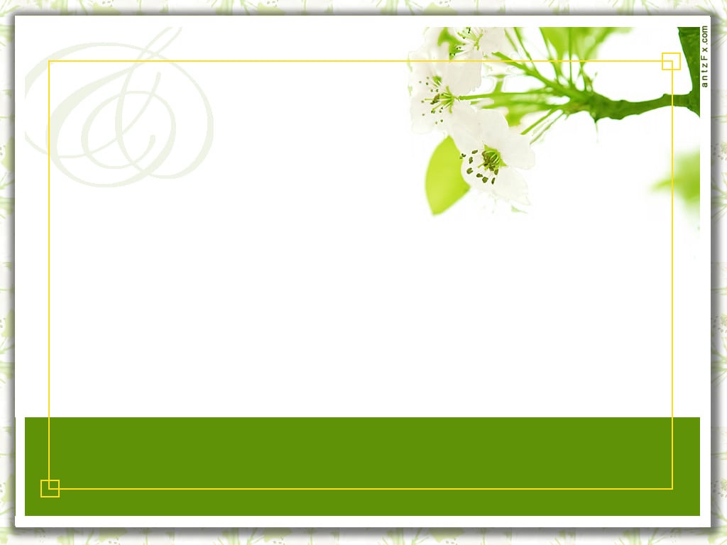 Birthday Card Invitation Template
