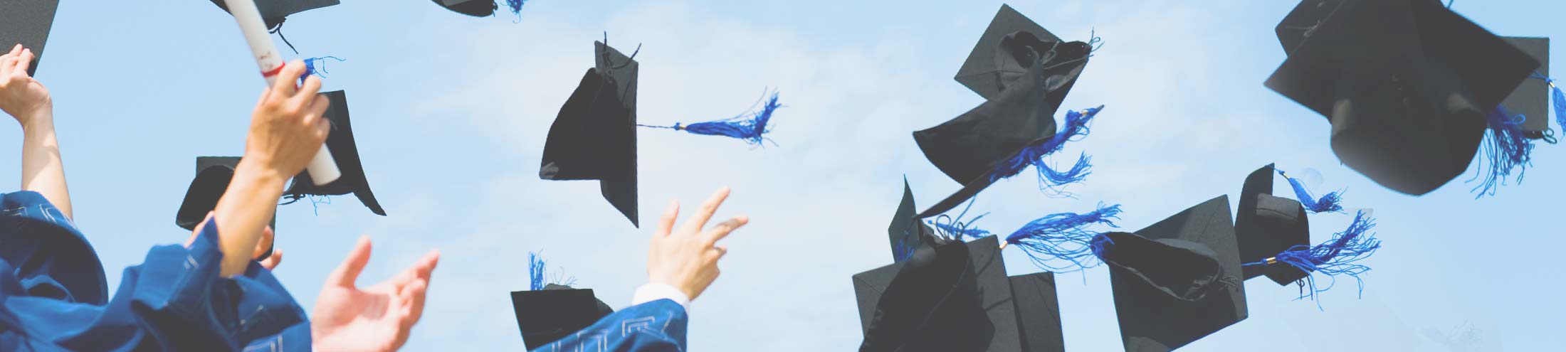 Graduation Reply Cards