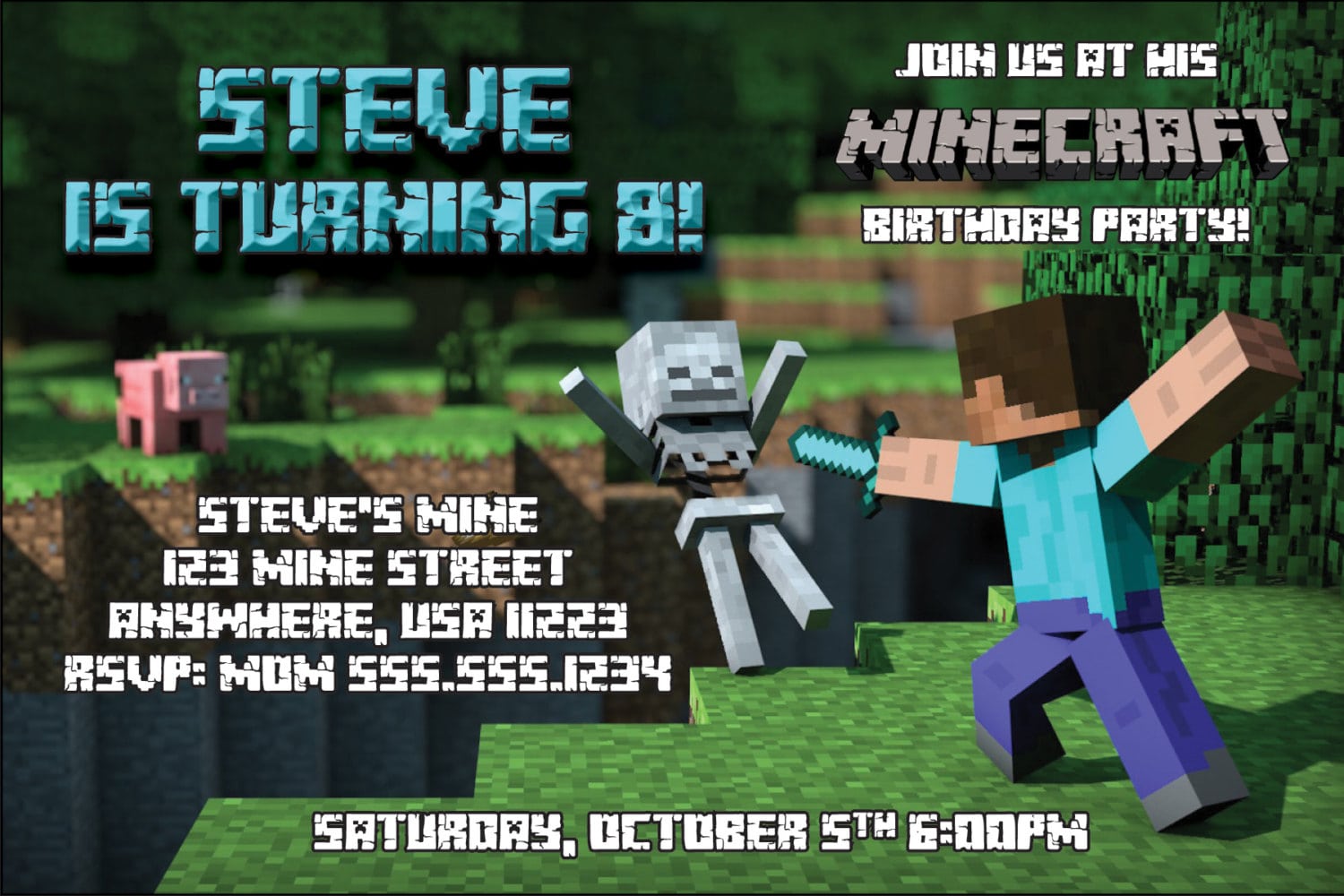 Minecraft Birthday Party