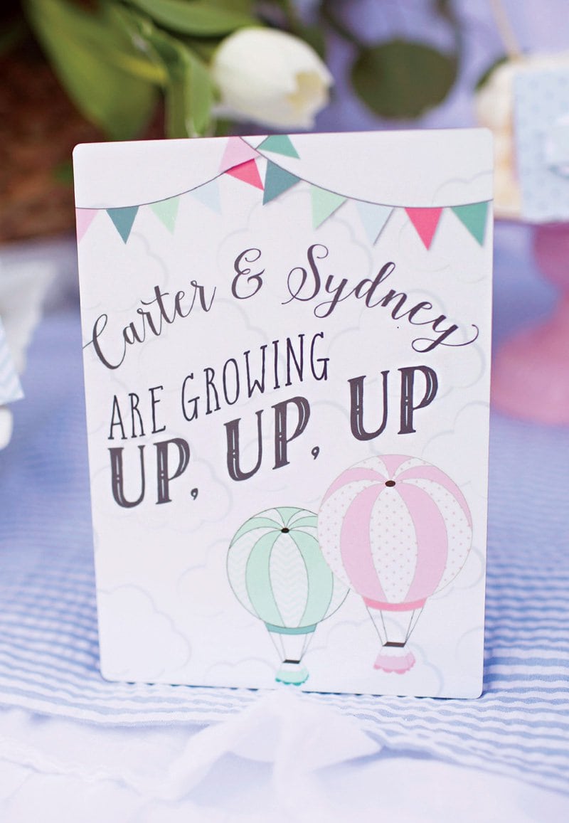 Up Up And Away} Twins' Hot Air Balloon 1st Birthday    Hostess