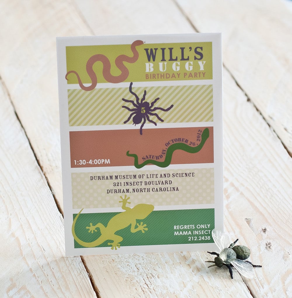 A Creepy Crawly Insect And Reptile Party