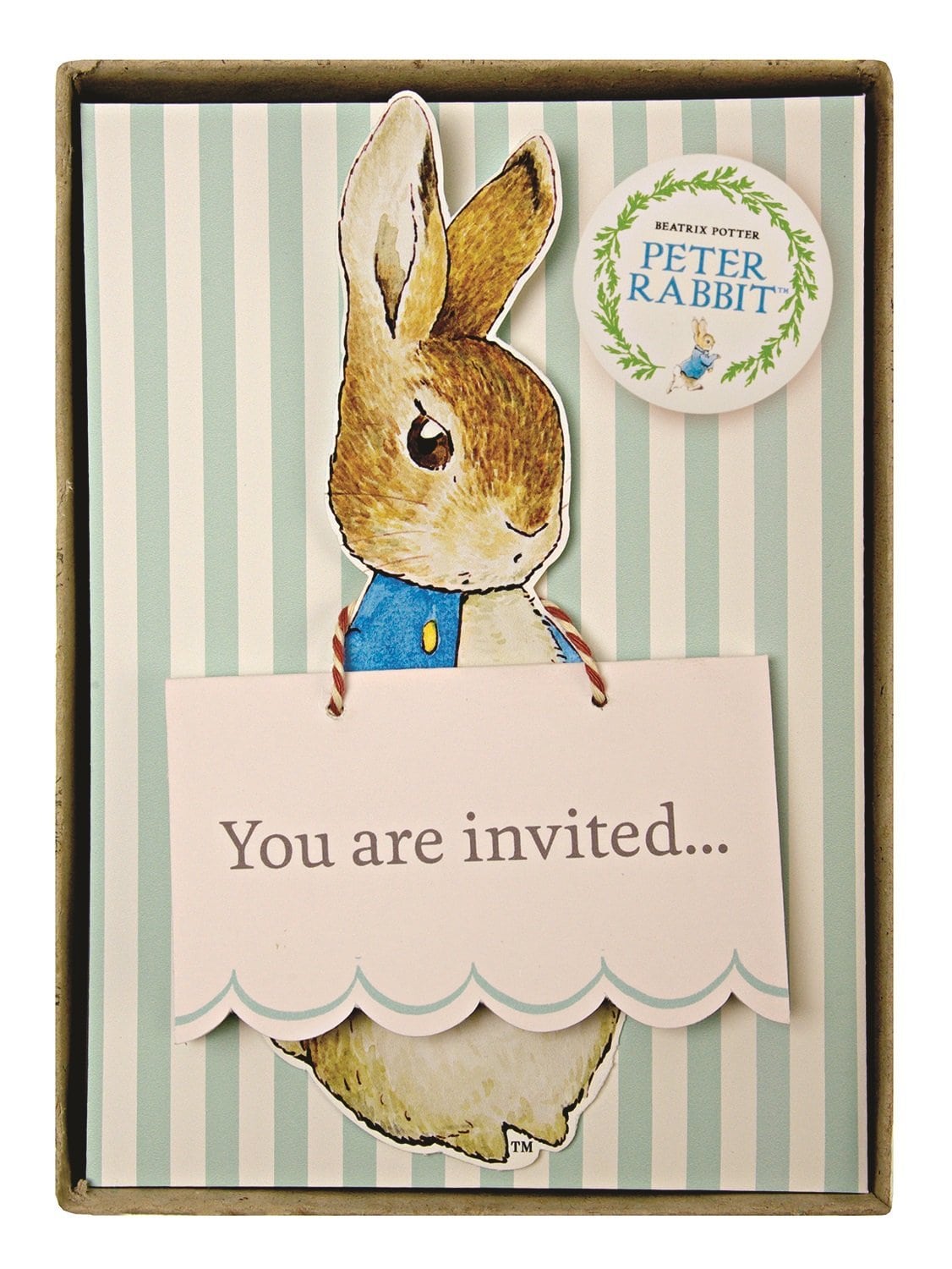 Amazon Com  Meri Meri Party Invitations, Peter Rabbit