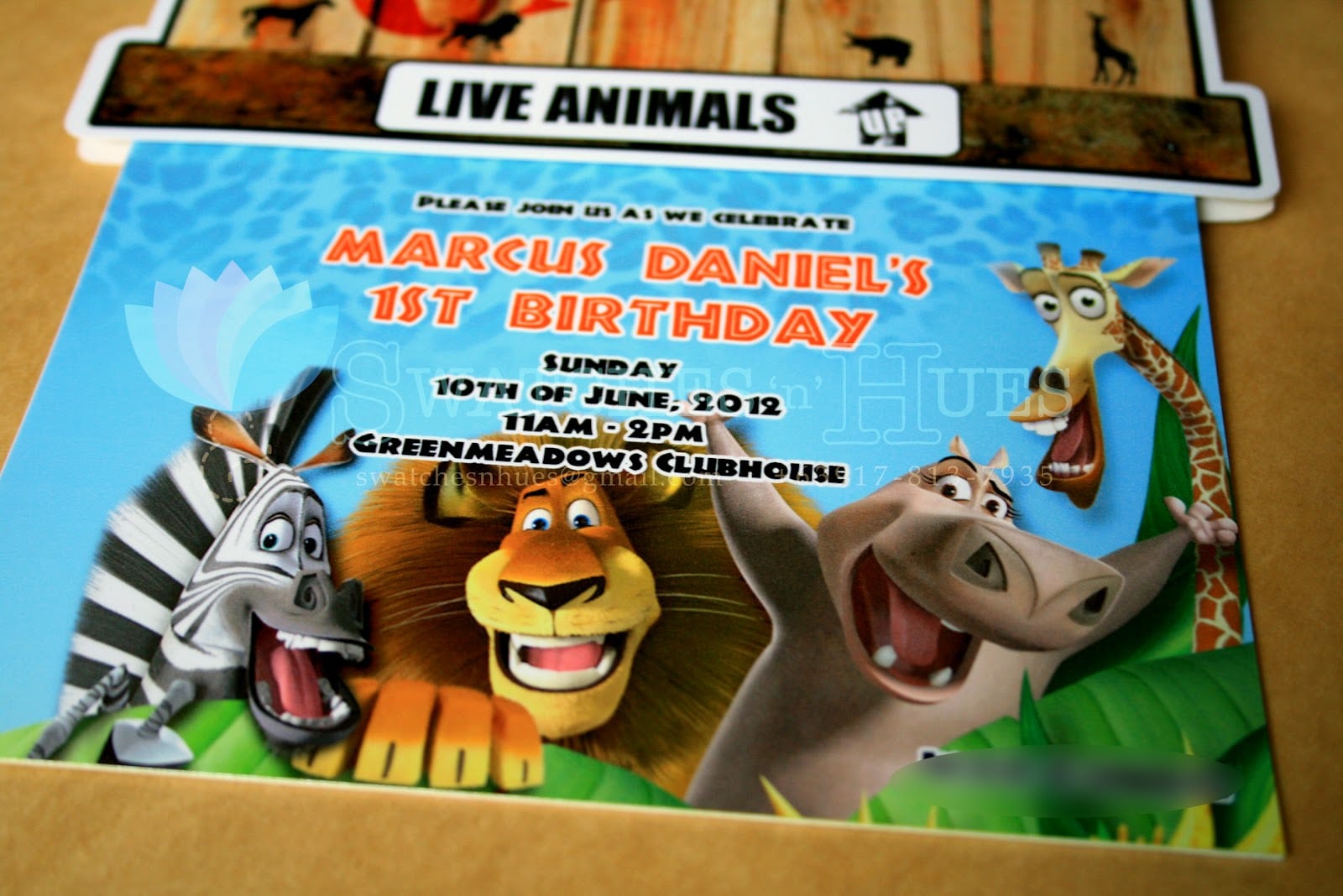 Madagascar Birthday Invitations