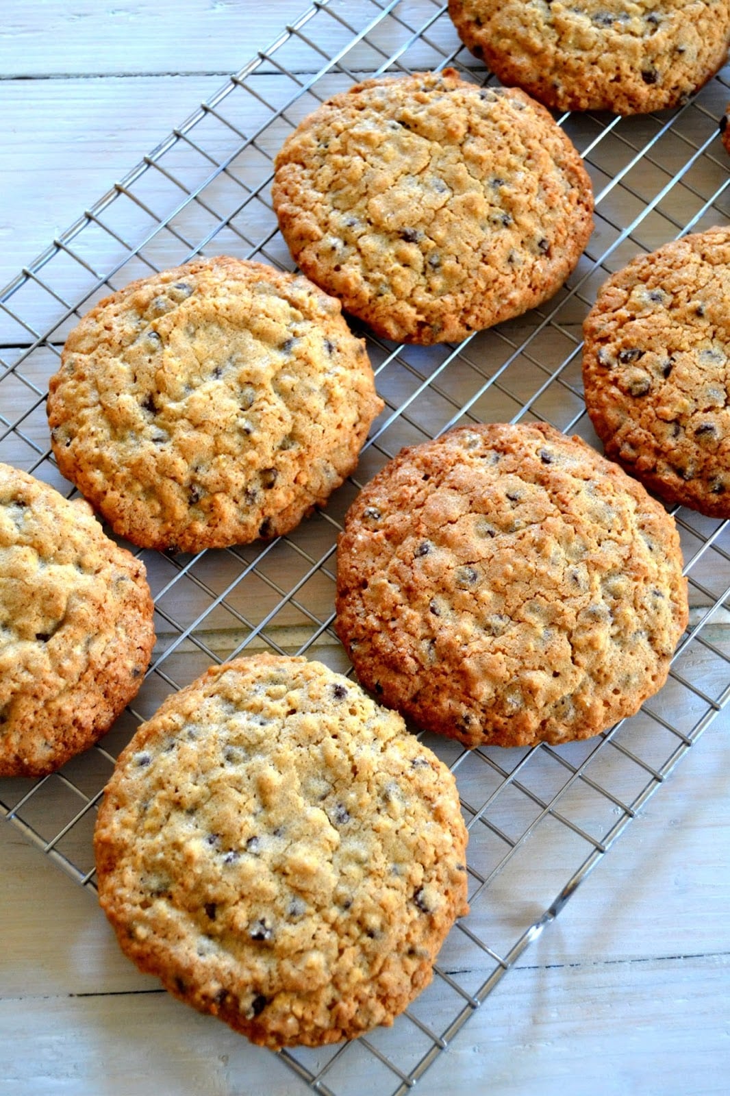 Cakeyboi  Classic Chocolate Chip Cinnamon Oatmeal Cookies