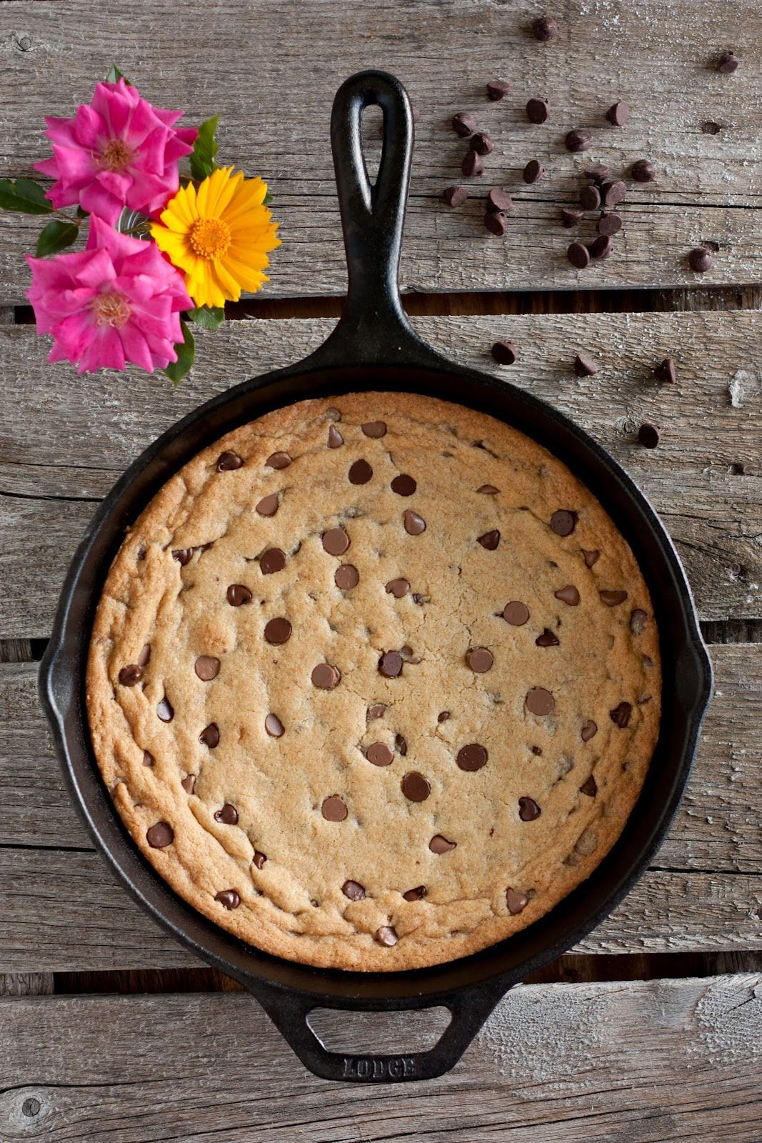 Cast Iron Skillet Chocolate Chip Cookie  Nummy Nummy!!