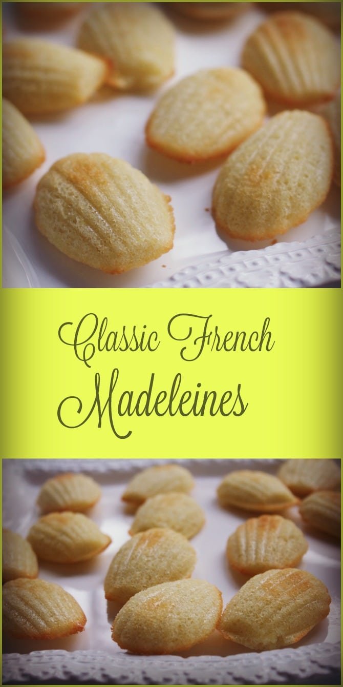 Classic French Madeleines Cookies And Book Review For Madeleines