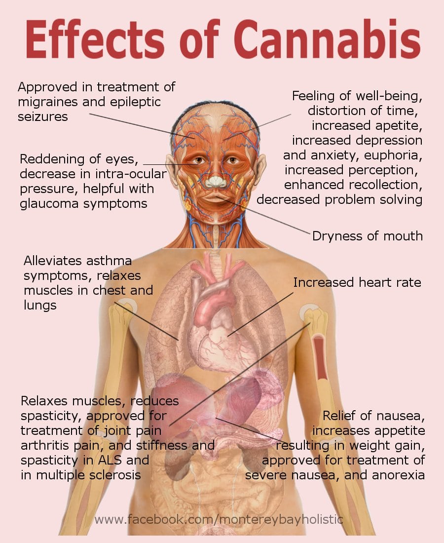Effects Of Marijuana Use  Short Term, Long Term And Side Effects