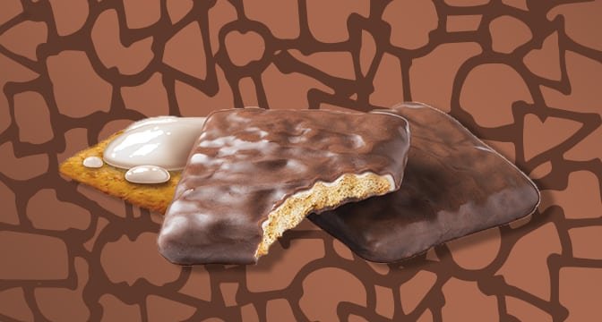Girl Scouts Unveil Two New S'mores Cookies