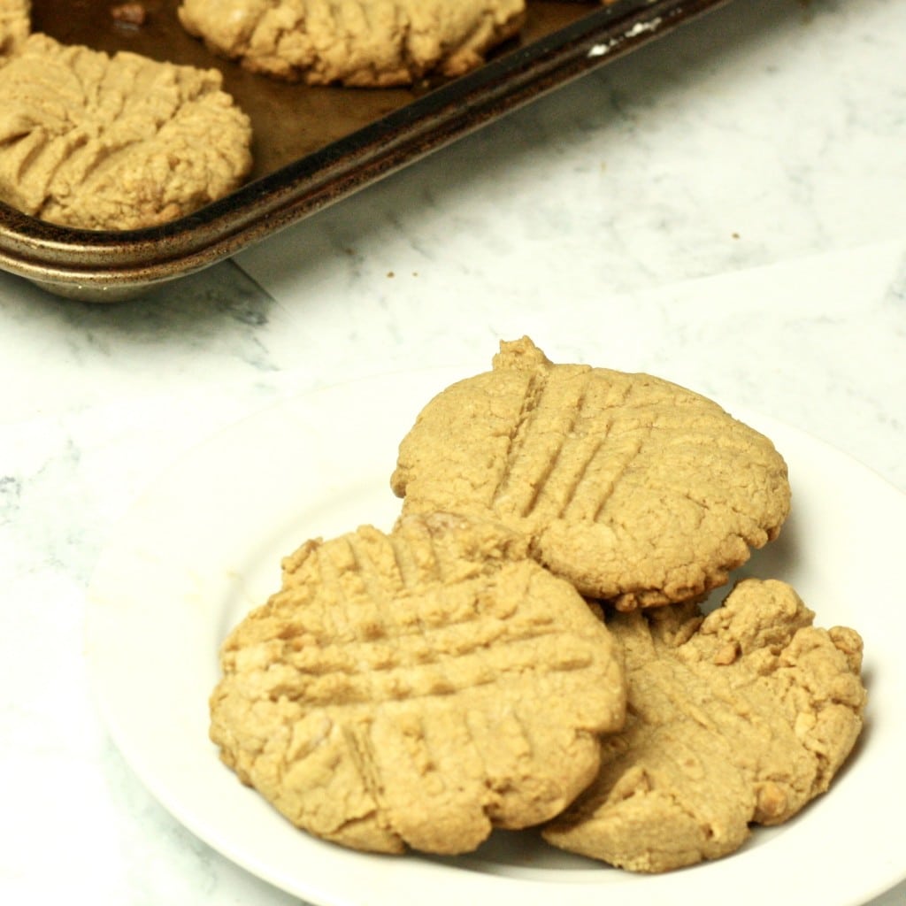 Low Carb Peanut Butter Cookies