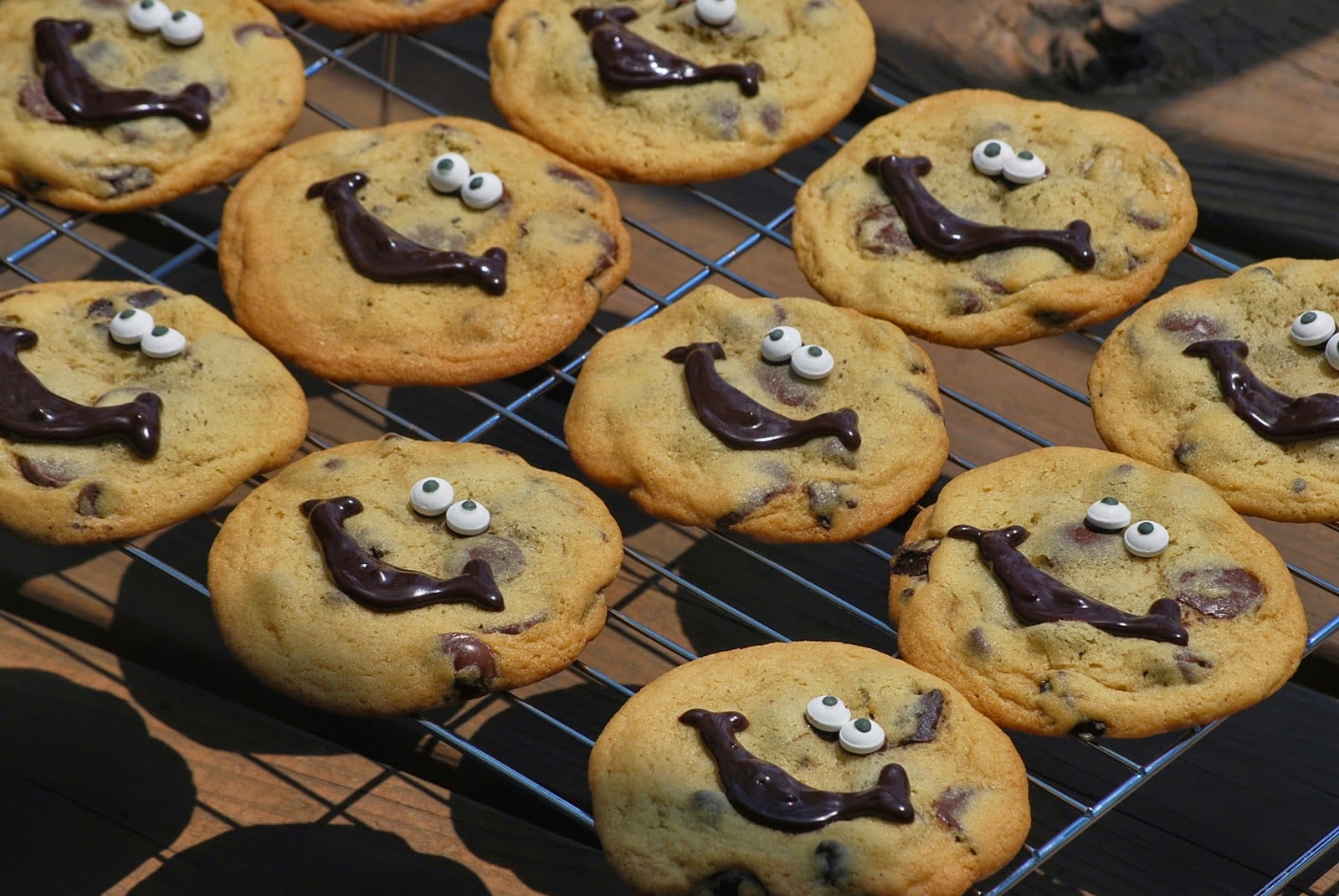 My Story In Recipes  Williams Sonoma Chocolate Chip Cookies