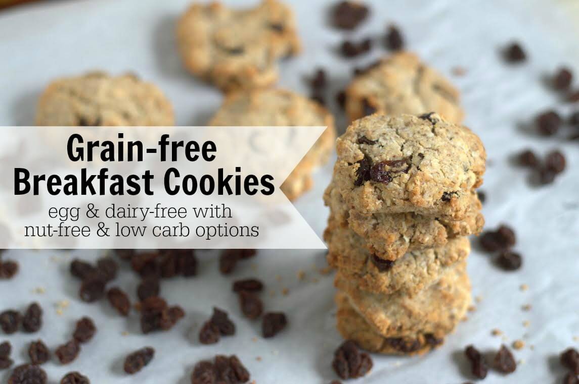 Paleo Breakfast Cookies