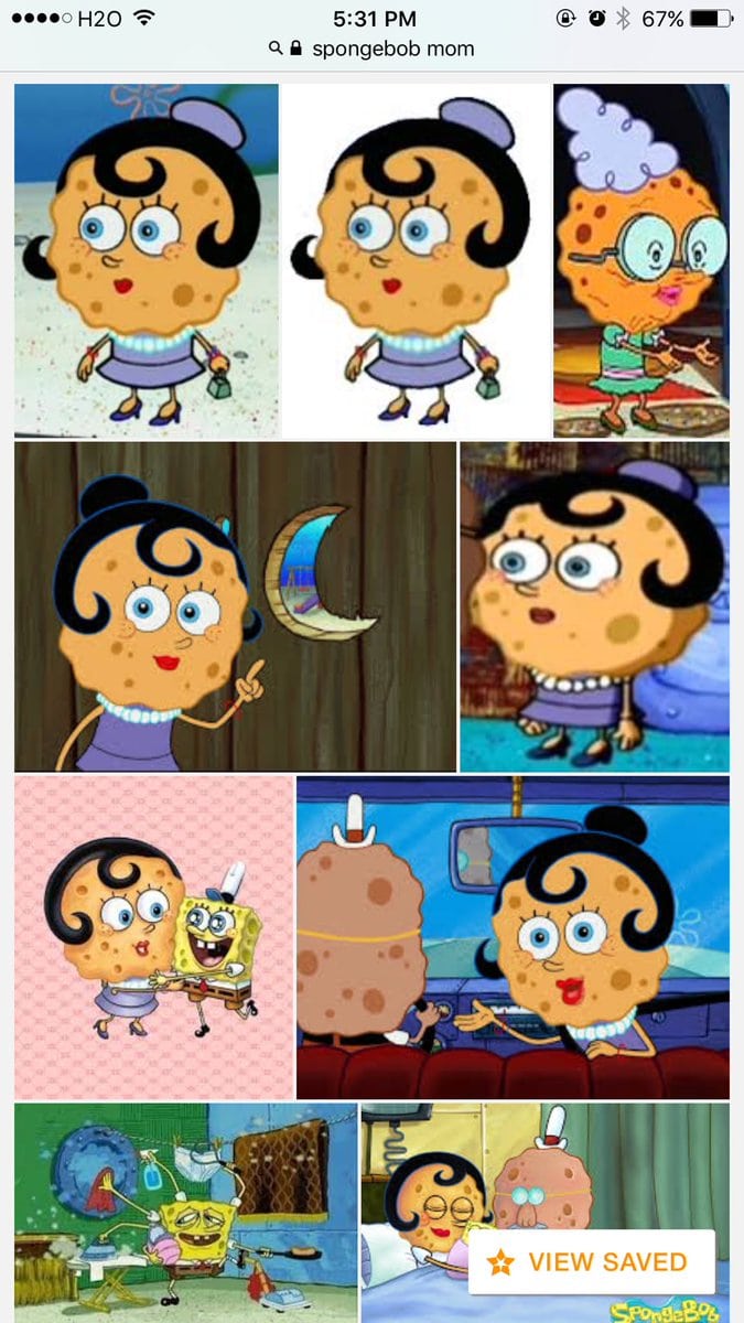Purnata Subah On Twitter   When You Find Out Spongebob's Parents