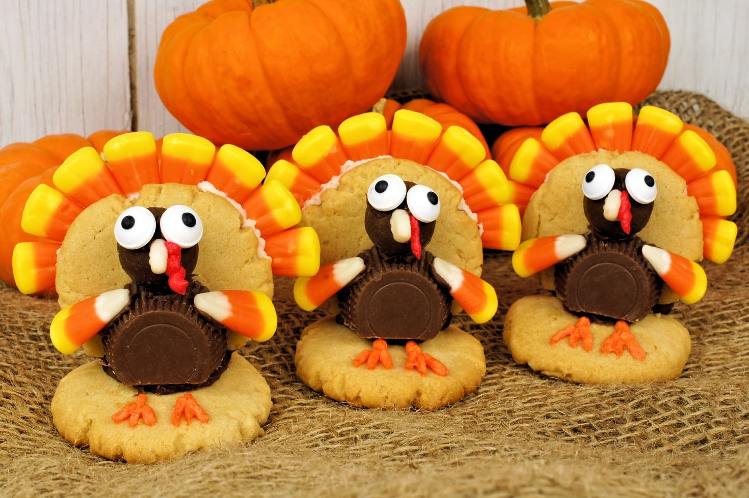 Simple And Sweet Turkey Cookies