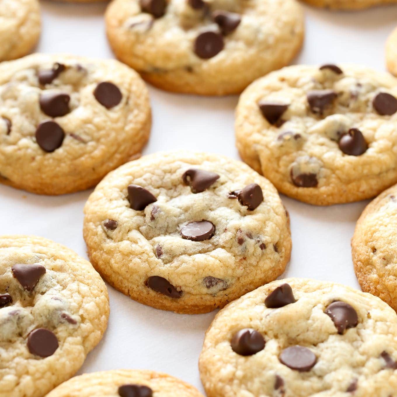 Soft And Chewy Chocolate Chip Cookies Recipe
