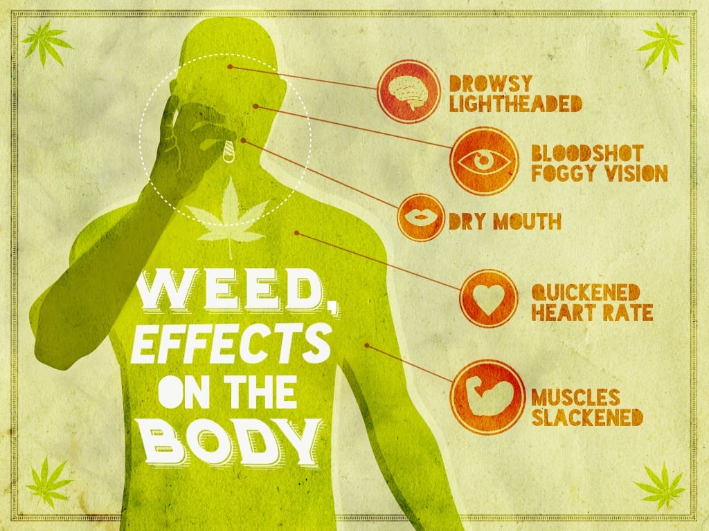 Weed, Effects On The Body