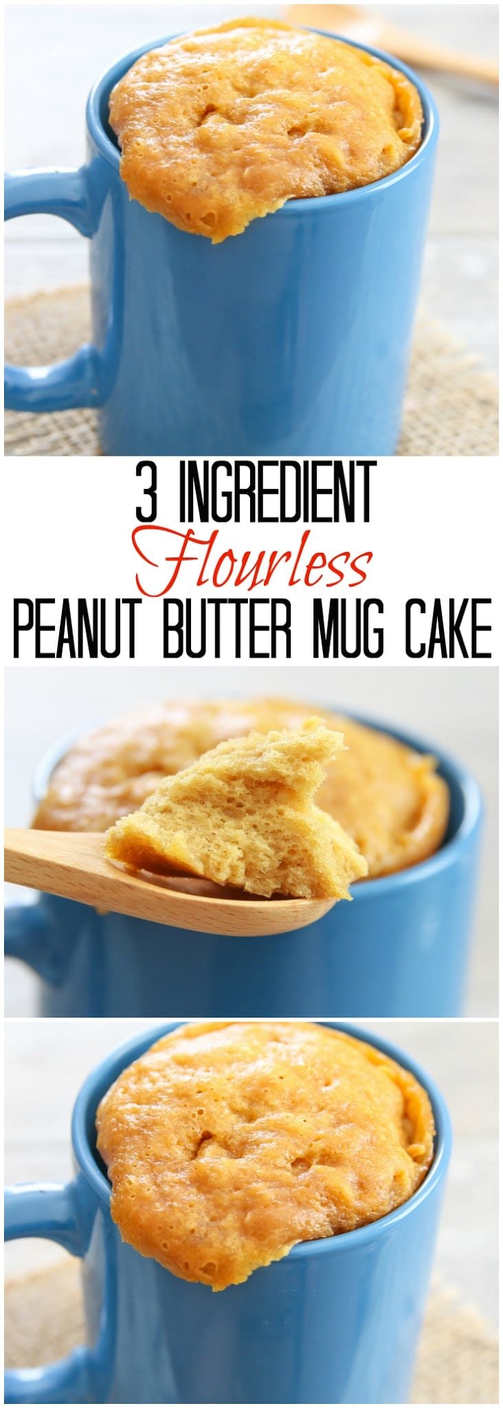 3 Ingredient Flourless Peanut Butter Mug Cake