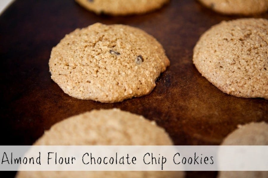 Almond Flour Chocolate Chip Cookies ~ A Gluten Free  Recipe