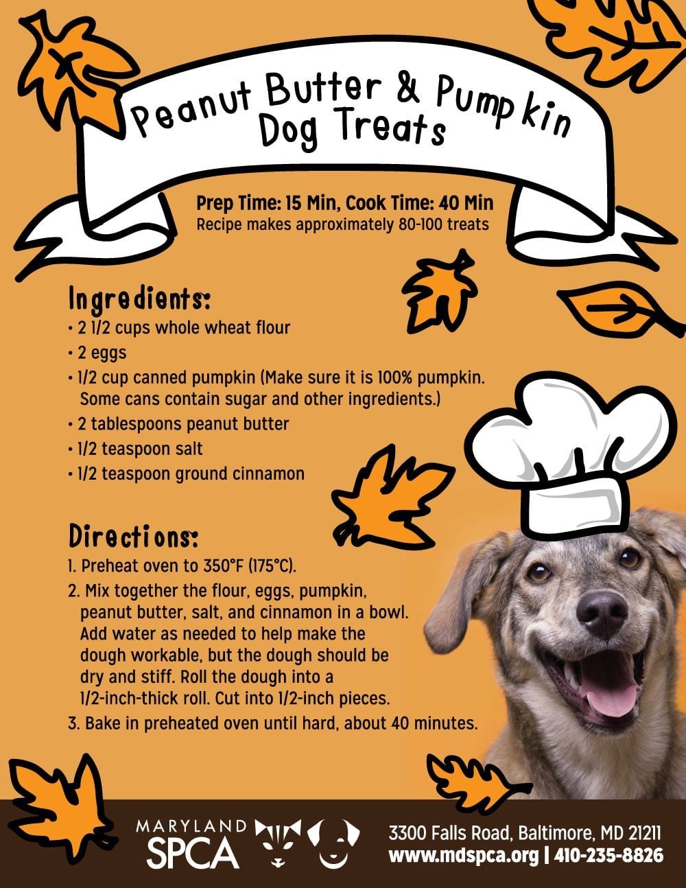 Bake Your Own Peanut Butter & Pumpkin Dog Treats!