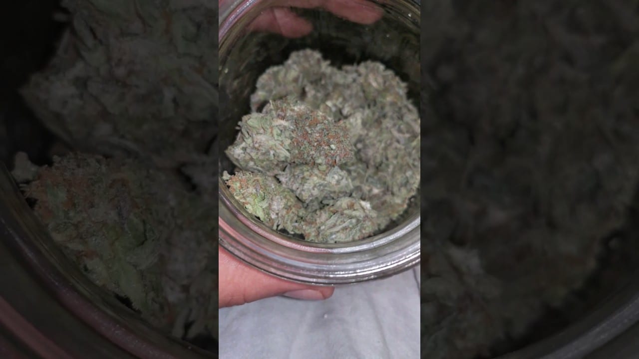 Bubba Cookies Strain 4k Google Pixel
