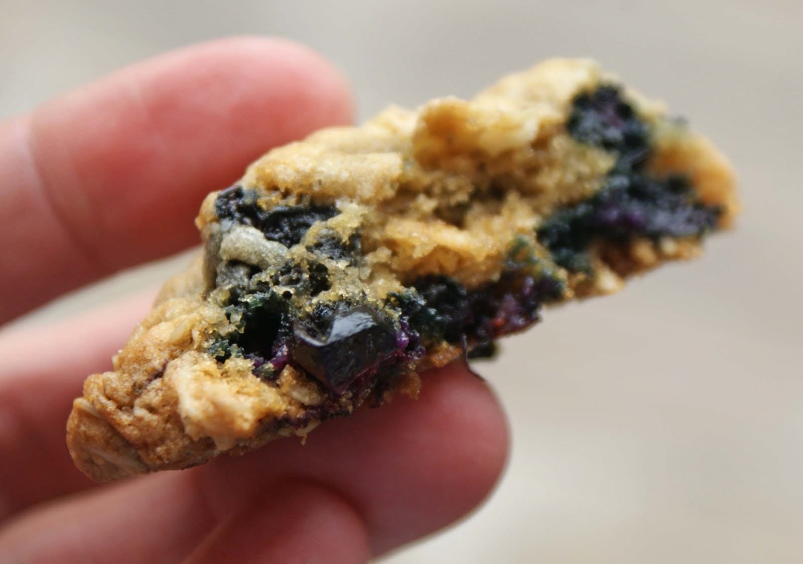 Chewy Blueberry Oatmeal Cookies