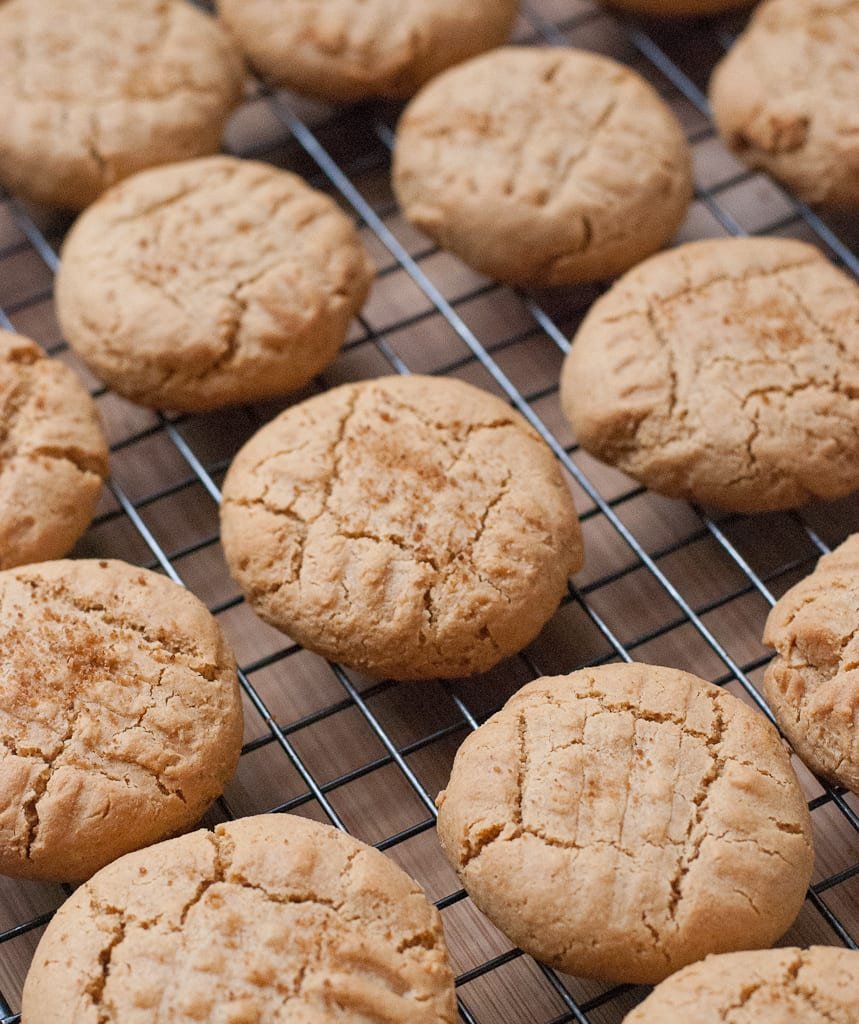 Coconut Flour Recipes Paleo Cookies Almond
