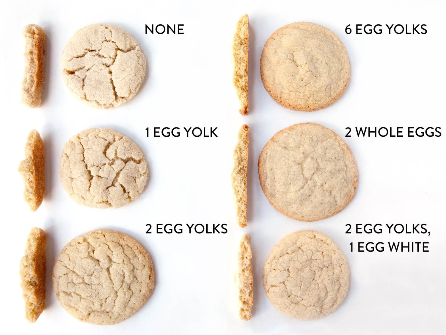Cookie Science  How Do Eggs Affect My Cookies