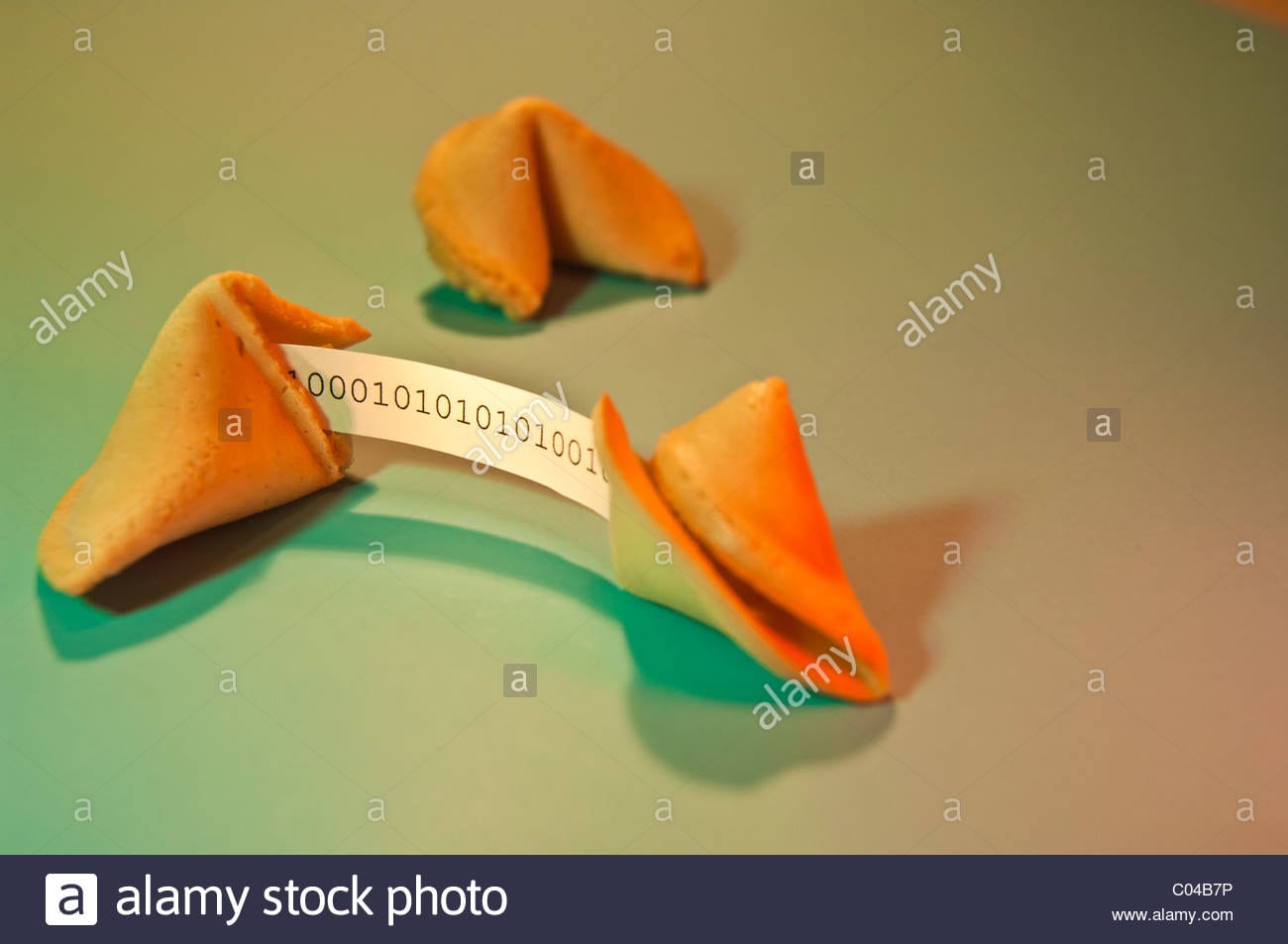 Fortune Cookie Dalton Ga