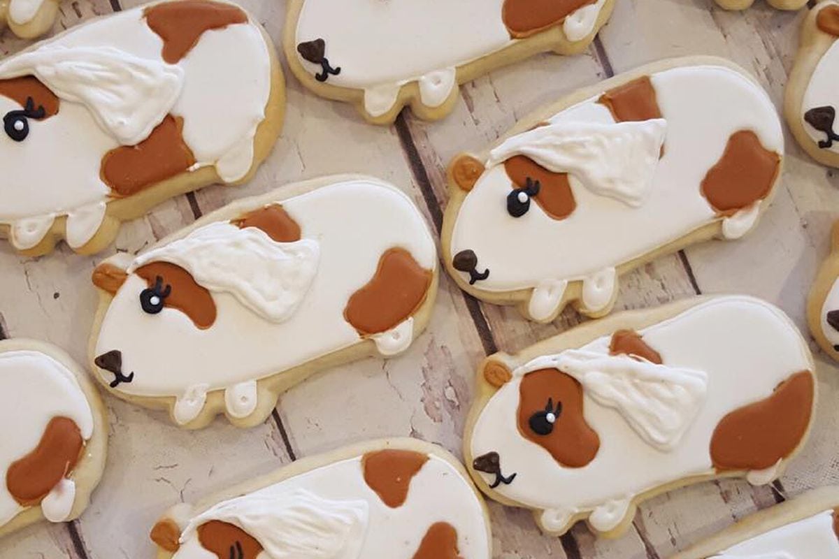 Hayleycakes And Cookies Brings Decorated Sweets To South Lamar