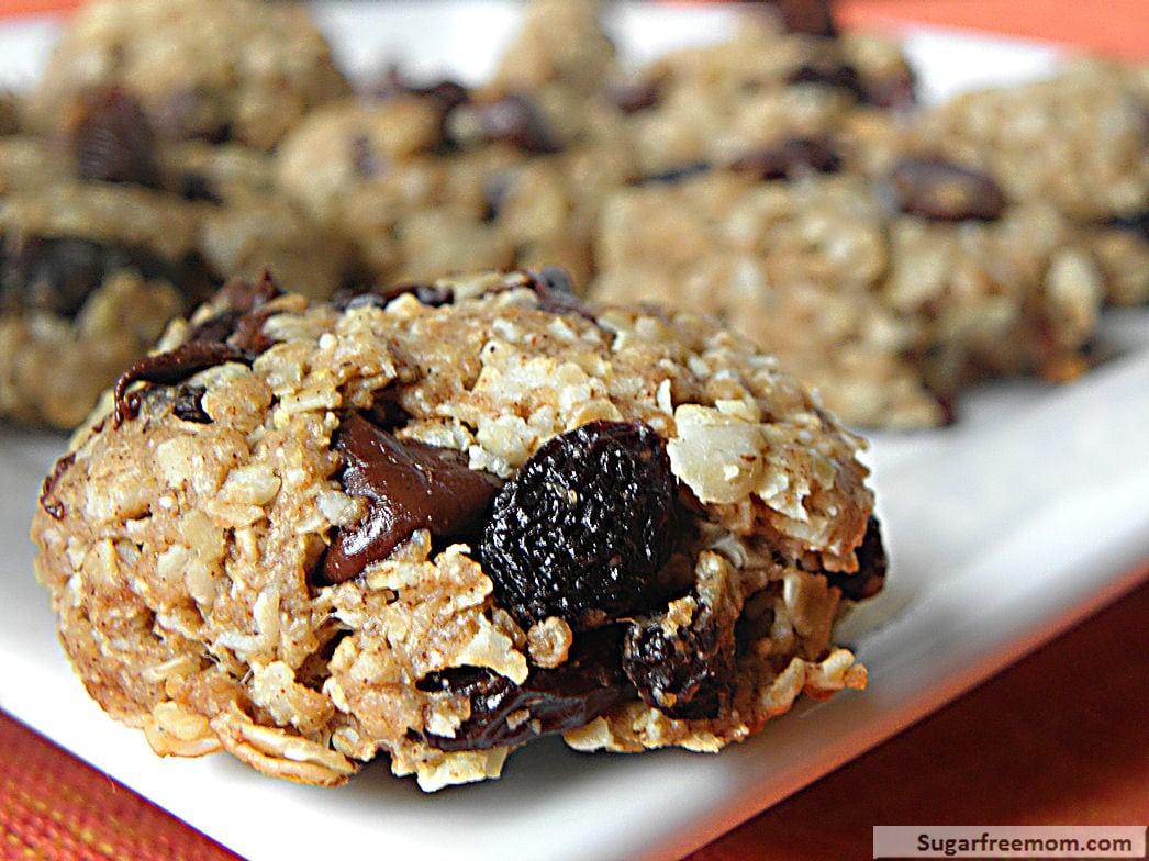Healthy Oatmeal Raisin Cookies  No Sugar Added