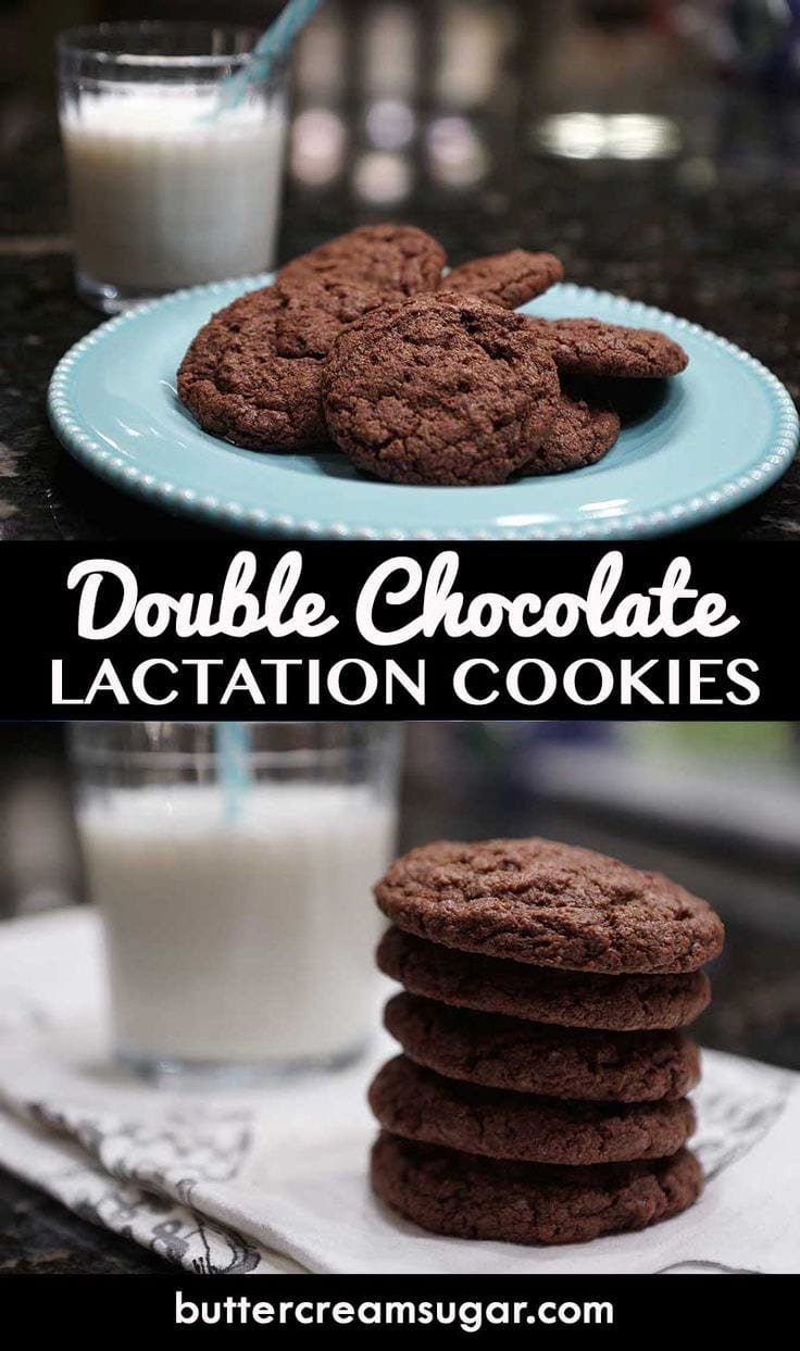Homemade Double Chocolate Lactation Cookies