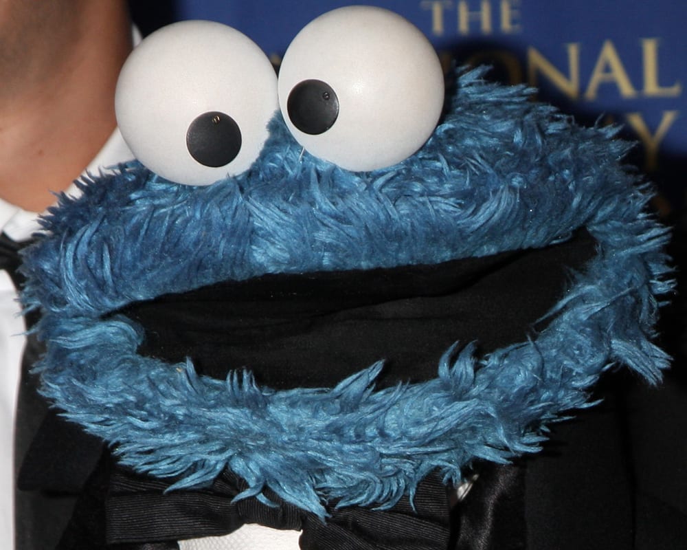 Man Arrested For Stuffing Cookie Monster Doll With Cocaine