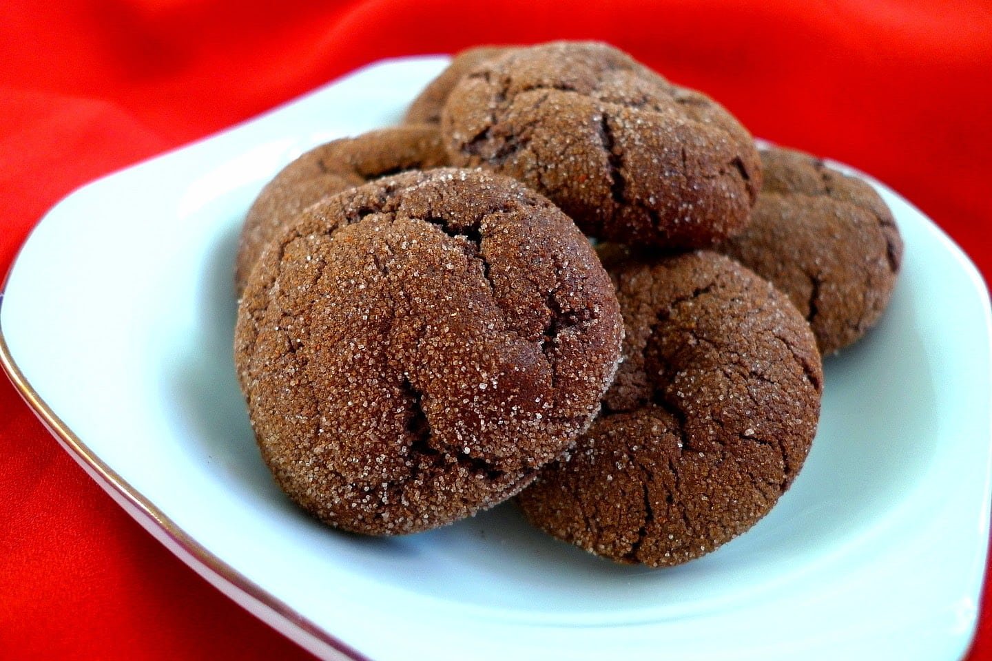 Mexican Cinnamon Sugar Cookies