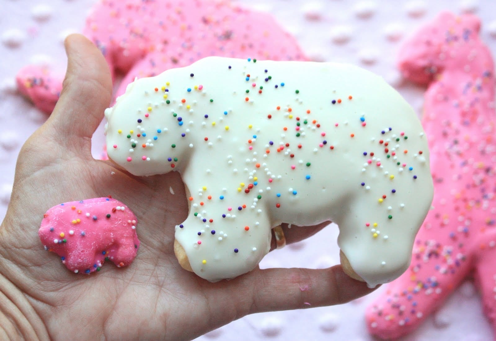 Munchkin Munchies  Jumbo Animal Cookies