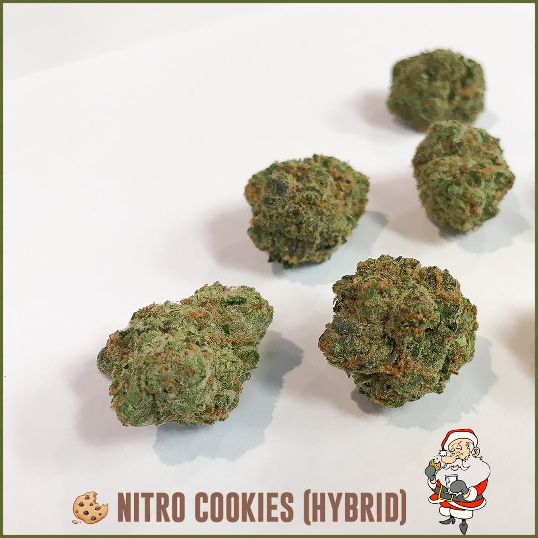 Nitro Cookies Hybrid Strain