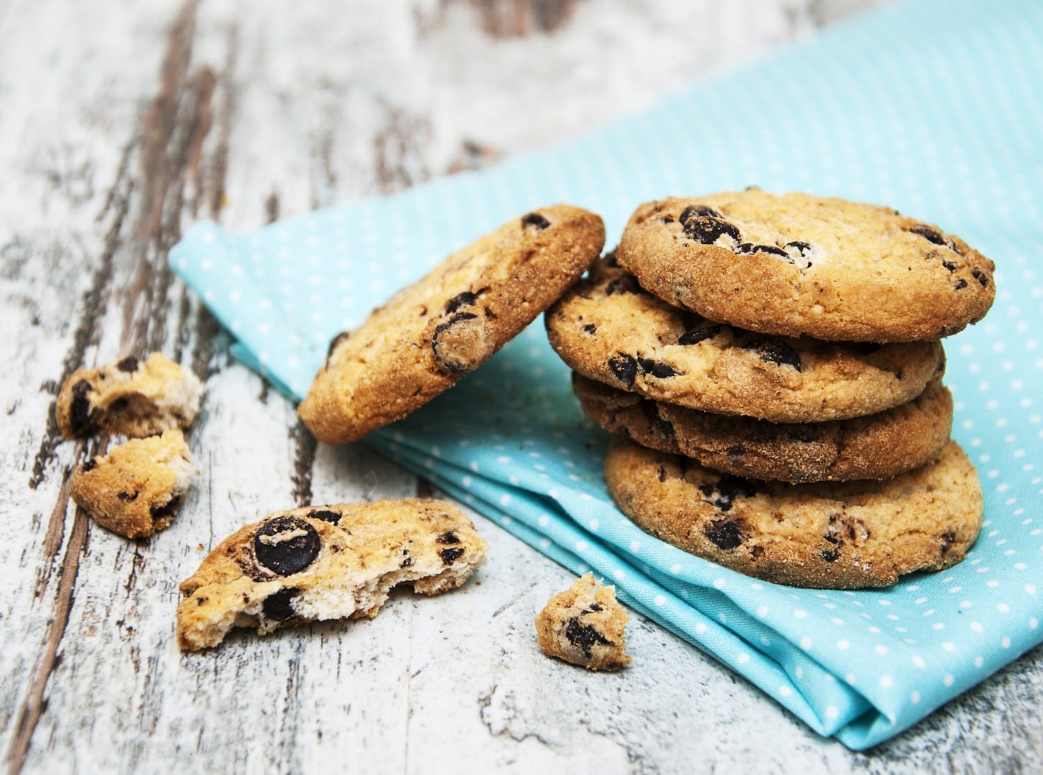 Paleo Coconut Flour Chocolate Chip Cookies