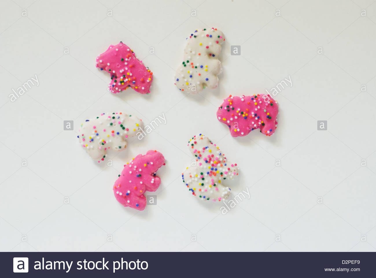 Pink And White Frosted Animal Cookies On White Background Stock