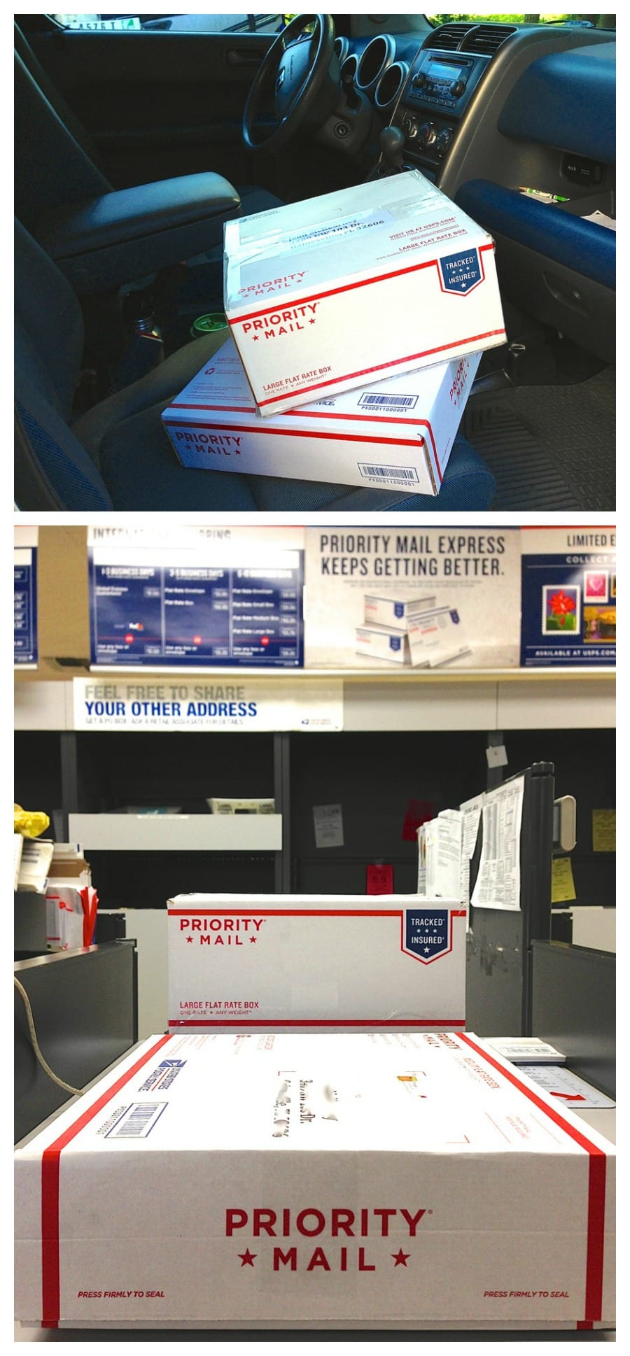 Shipping News