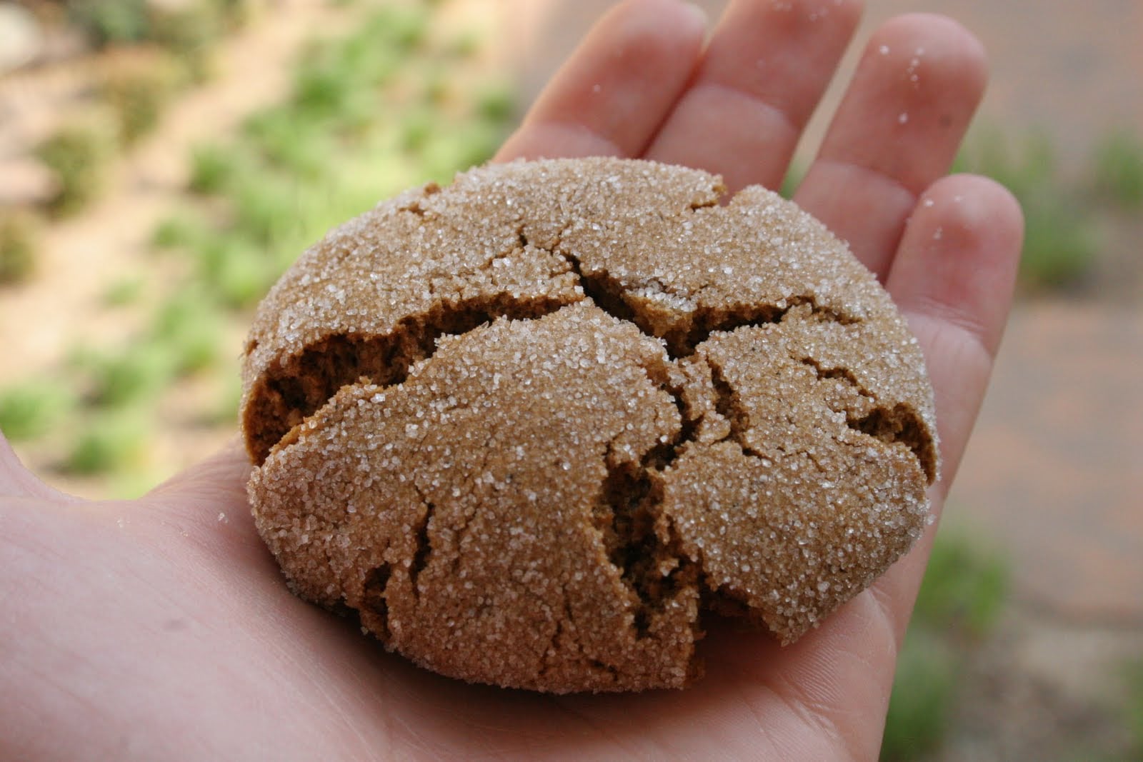 The Ultimate Ginger Cookie Recipe