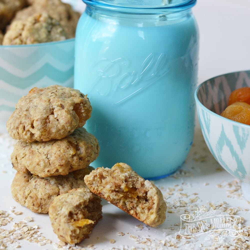 Whole Wheat Oatmeal Coconut Cookies (an Aussie Bites Knockoff