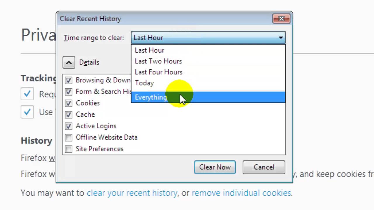 How To Clear Cache And Cookies In Firefox