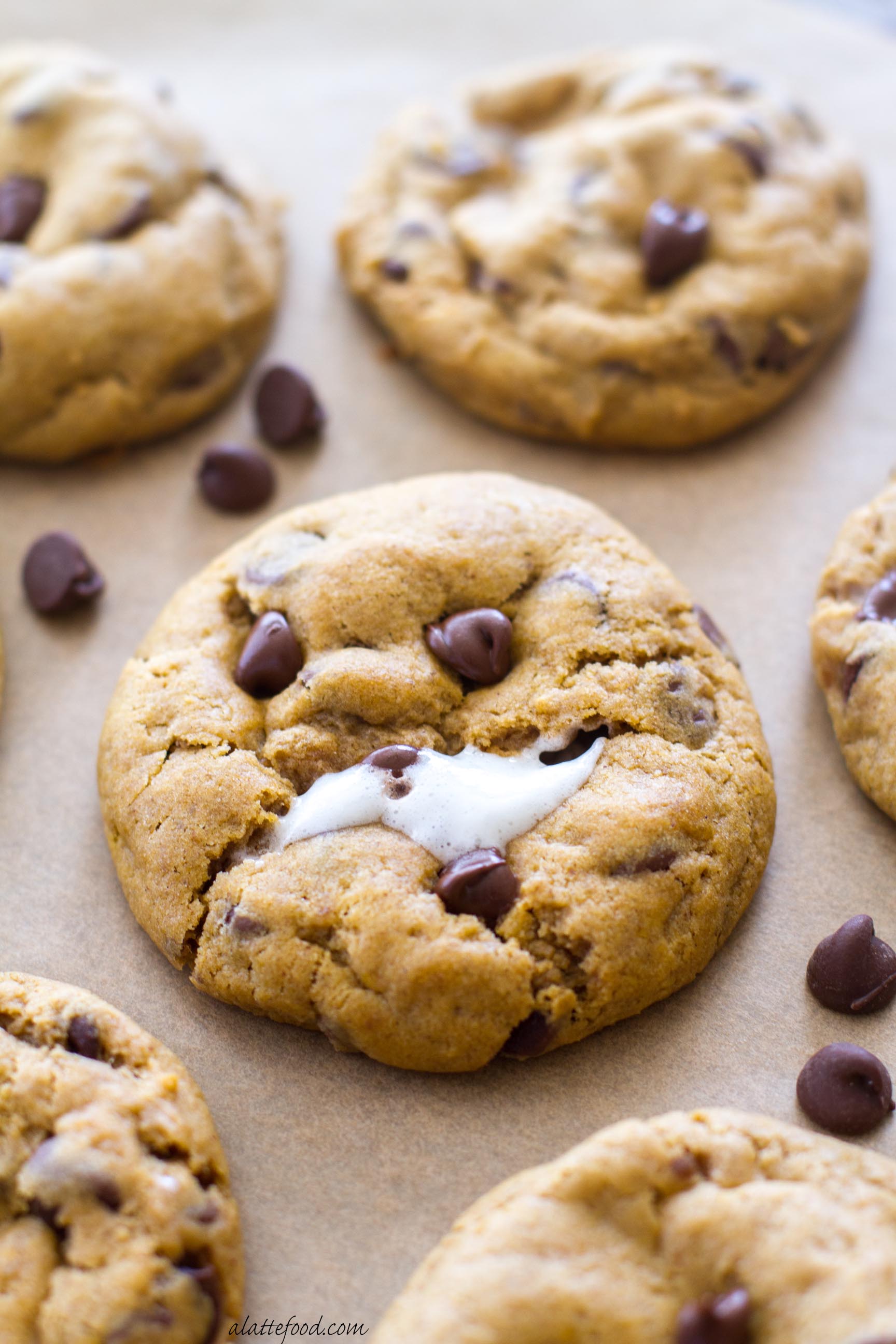 Inspirational Chewy Pumpkin Oatmeal Chocolate Chip Cookies A