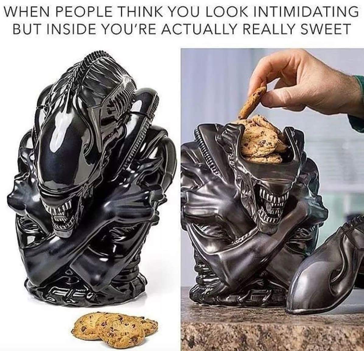 Forget The Meme, I Want The Cookie Jar    Lv426