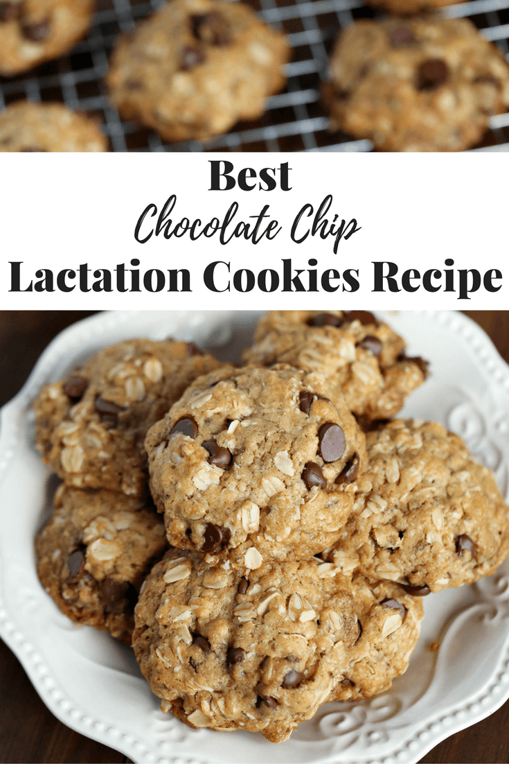 The Best Chocolate Chip Lactation Cookie Recipe To Make Today
