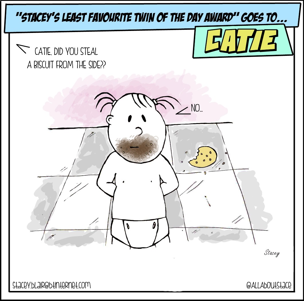 Stacey's Least Favourite â Who Stole The Cookies    Twinsclub