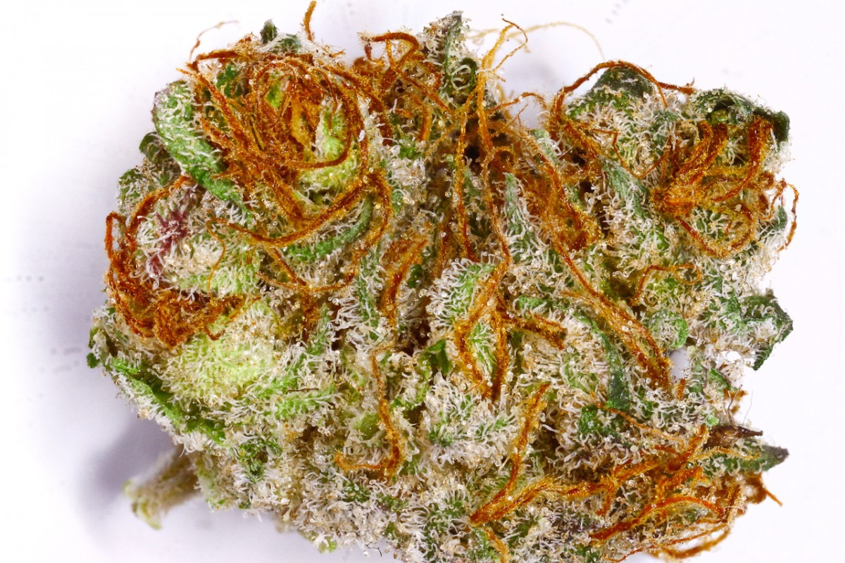 Top Ten Strains For Boosting Creativity
